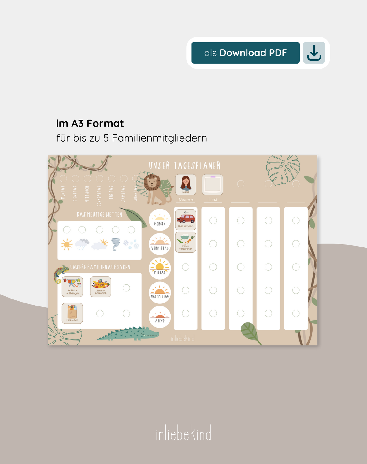 #set:safari